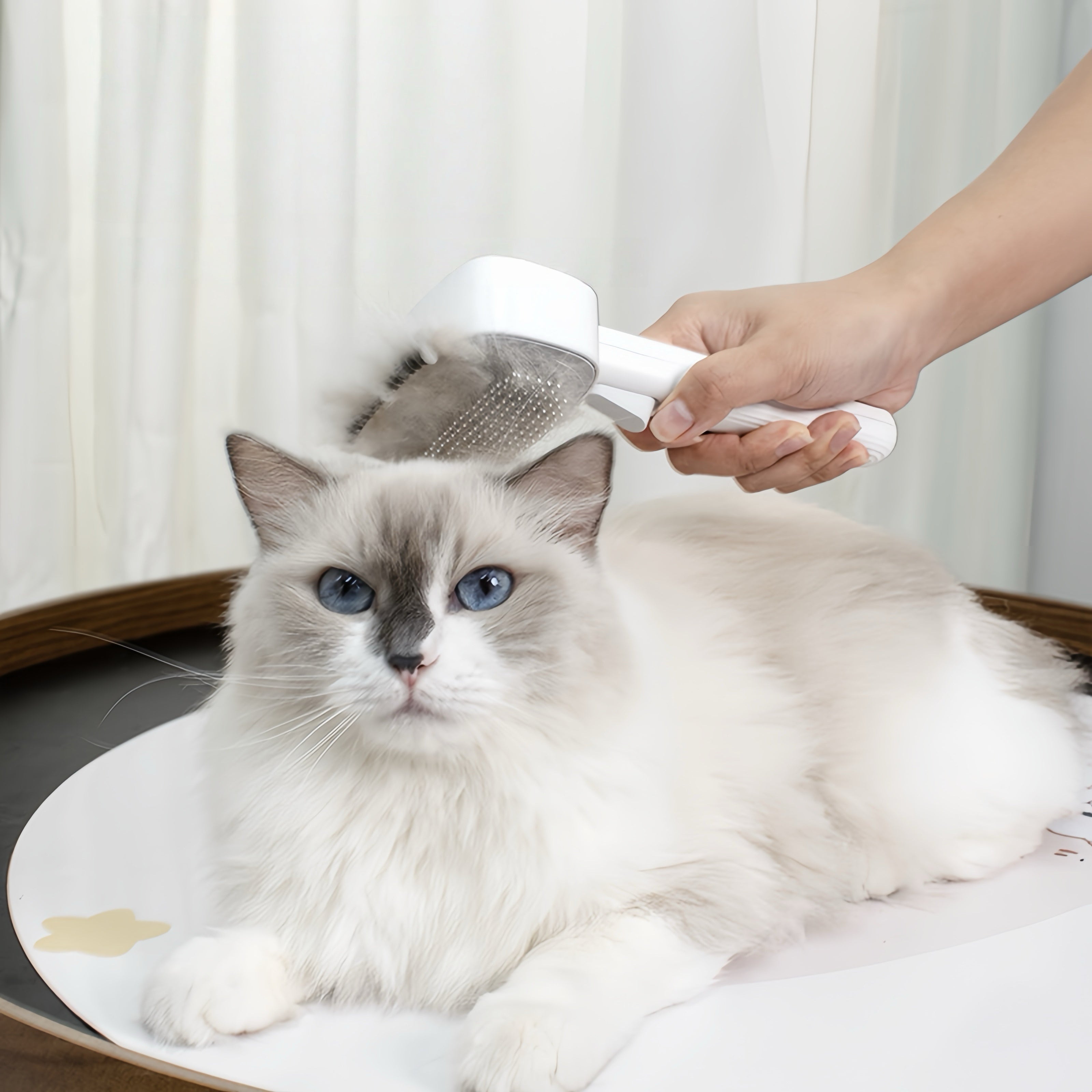 Cat Grooming brush with for Removing Tangled and Loose Hair