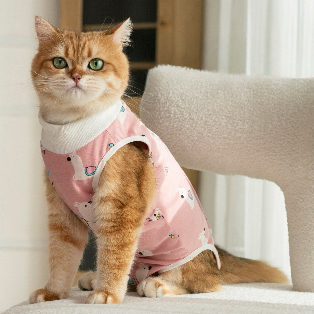 Cat Surgery Recovery Suit 5 colours -  Cone E-Collar Alternative