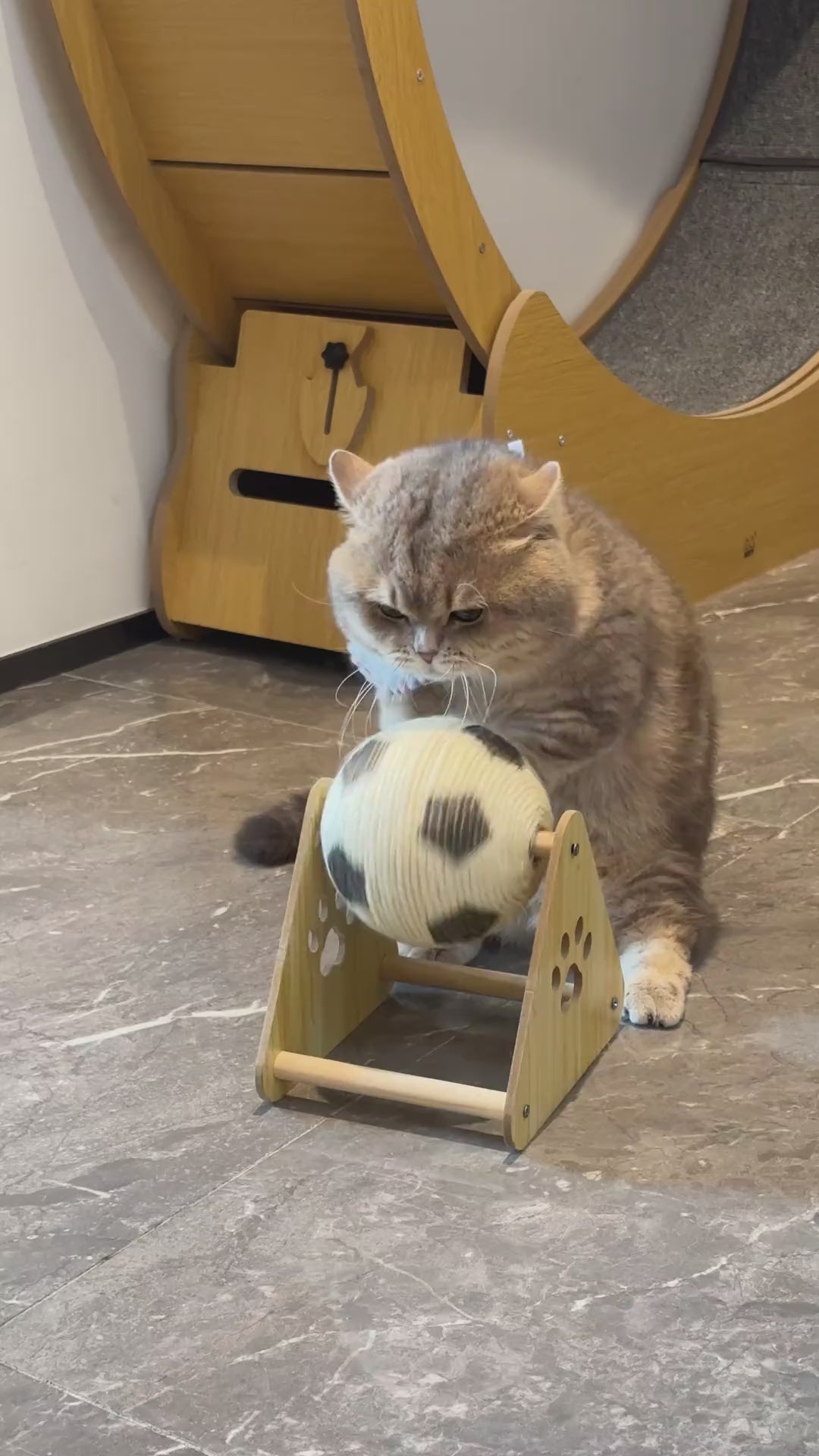 Cat Ronaldo Football Scratching Ball Interactive Toy